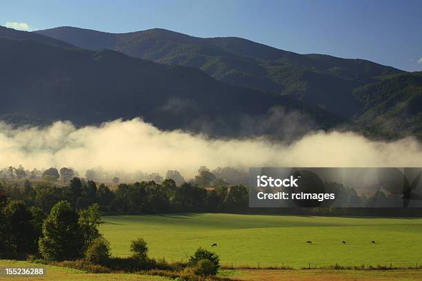 Zatoczka Chamów Great Smoky Mountains - zdjęcia stockowe i więcej obrazów Appalachy - Appalachy, Bez ludzi, Cades Cove