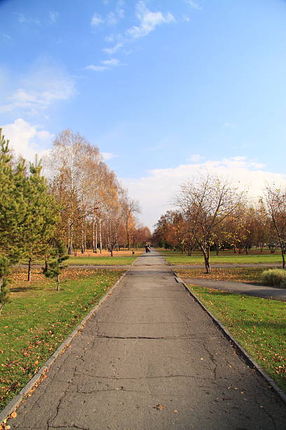 istock Walking tour in the autumn park. October 155236368