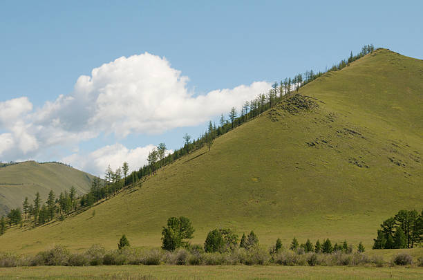 Jalman Meadows, Mongolia stock photo