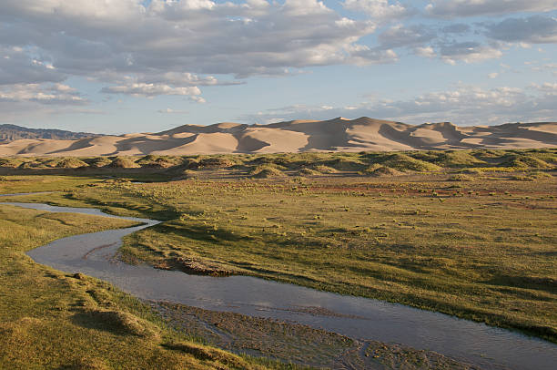 Sand dunes and oasis in the Gobi stock photo