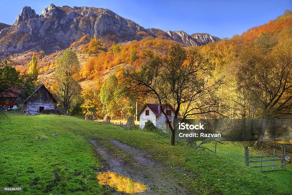 Ländliche Herbst Landschaft - Lizenzfrei Baum Stock-Foto