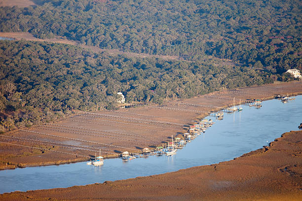 istock aerial of docks and boats 155236972