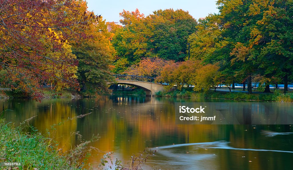 Cores do Outono - Foto de stock de Boston - Massachusetts royalty-free