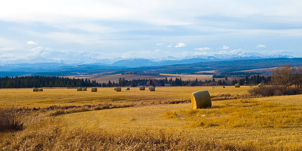 farm in der nähe der rocky mountains - prairie farm winter snow stock-fotos und bilder