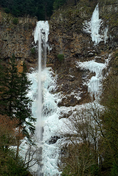 Multnomah Falls stock photo