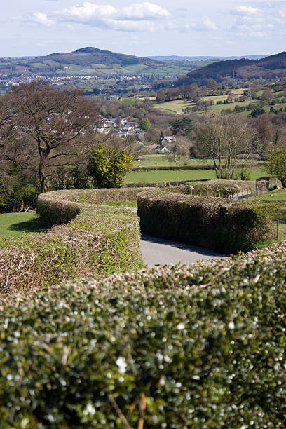 istock Countryside hedged Winding Road 155237909