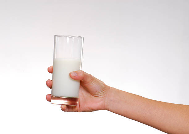 Giving milk. stock photo