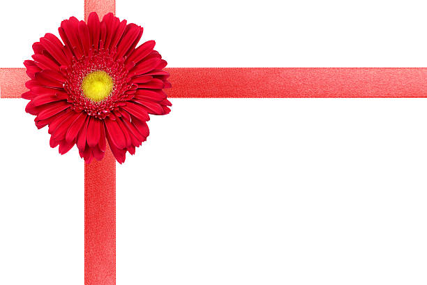 Red ribbon with flower on white card stock photo