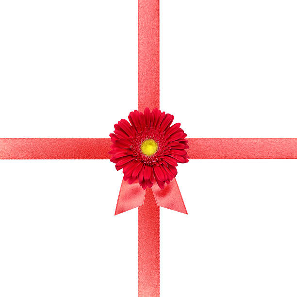 Red ribbon with flower on white card stock photo