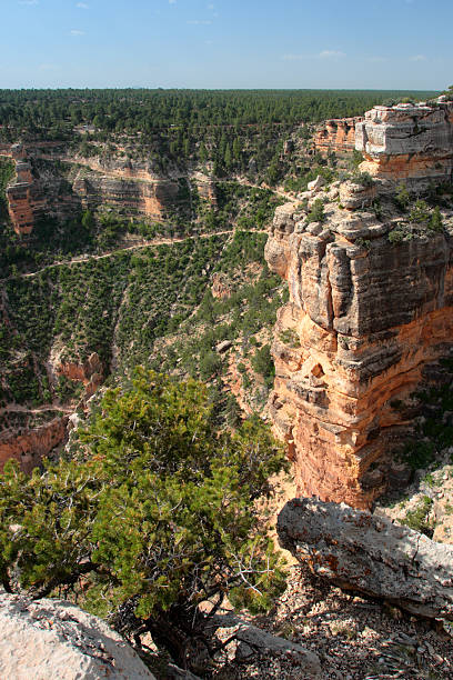 istock Grand Canyon National Park, USA 155239087
