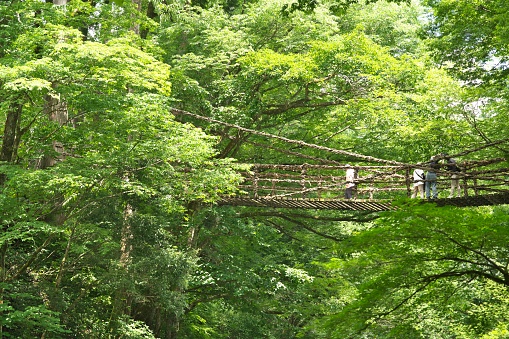 Toyama, Japan - July 16, 2023: Vine bridge or Kazura bridge. A suspension bridge made of the plant called Shirakuchikazura.