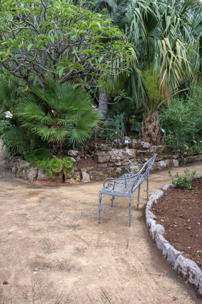 istock Metal bench in park, Palermo Sicily 1552393673