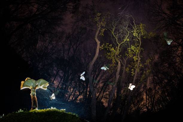 istock Tranquil night scene with a mushroom with numerous white butterflies fluttering gracefully around it 1552395295
