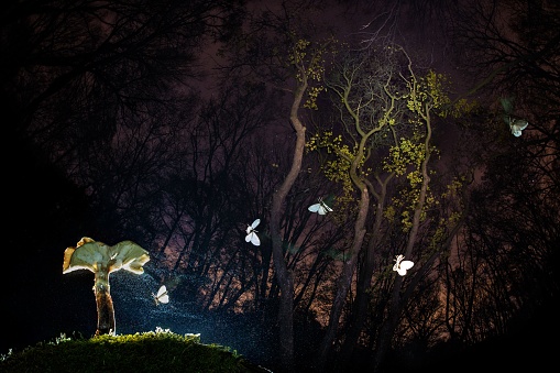 A tranquil night scene with a mushroom with numerous white butterflies fluttering gracefully around it