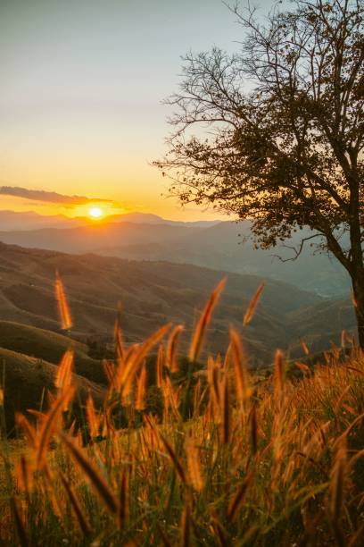 istock Summer mountains with sunset view of nature cliff mountain. 1552395563