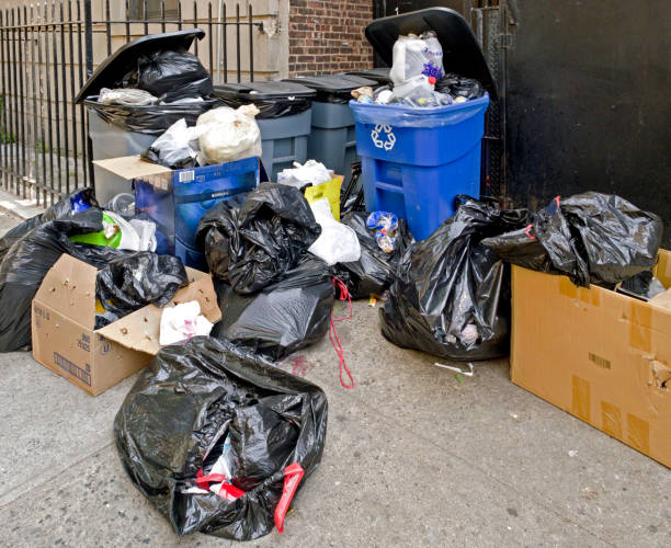 Haphazard row of empty residential trash receptacles roadside