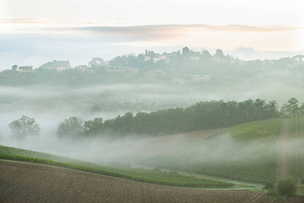 istock Fog in Tuscan countryside 155240557