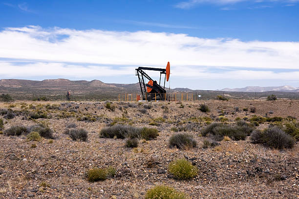 Oil pump in Patagonia Argentina. \
