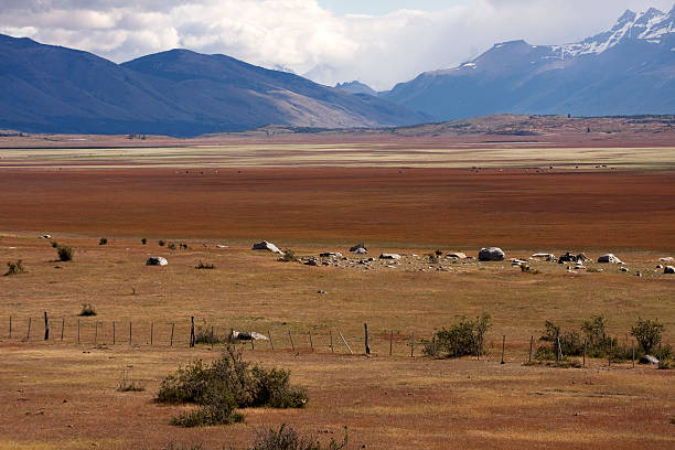 Patagonic steppe. Santa Cruz Province, Argentina.
