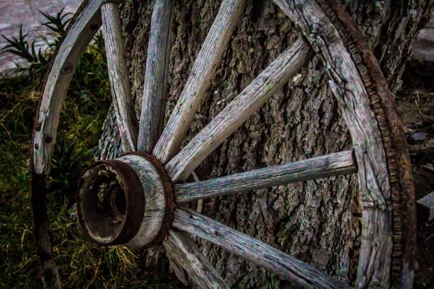 istock Aged wooden wheel in a grassy field in grayscale 1552411346