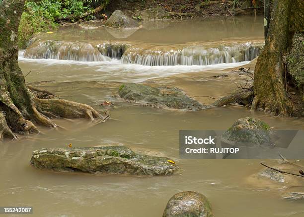 Floresta De Chuva - Fotografias de stock e mais imagens de Beleza natural - Beleza natural, Cair, Cascata