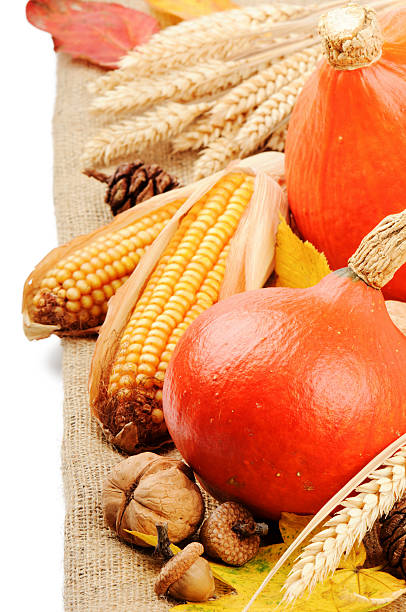 istock Autumn still-life with pumpkins and corn 155242246