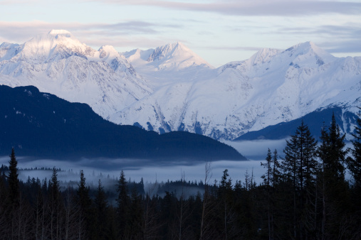 Alaska's Kenai Mountain Range looms over world of dark spruce forests and white mists in this image taken from the Seward Highway.