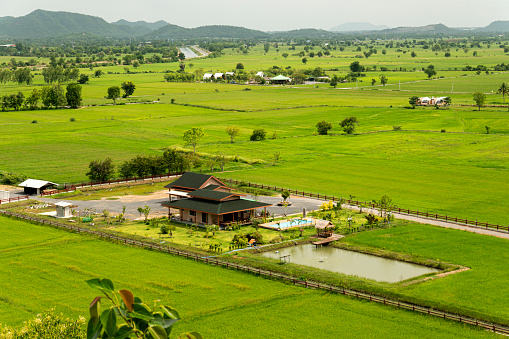 the house is surrounded by rice plantations. Agriculture in Southeast Asia.