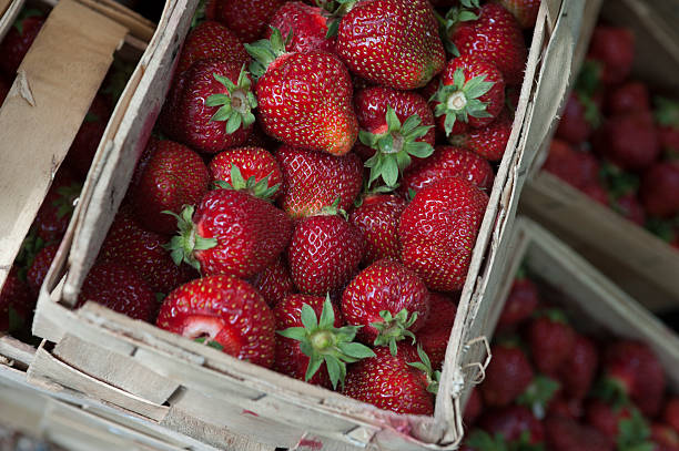 Strawberries stock photo