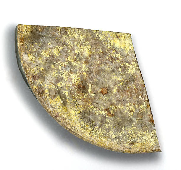 istock Cheese France Saint Nectaire 155252167
