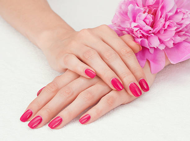 istock Pink manicure and a flower 155252523