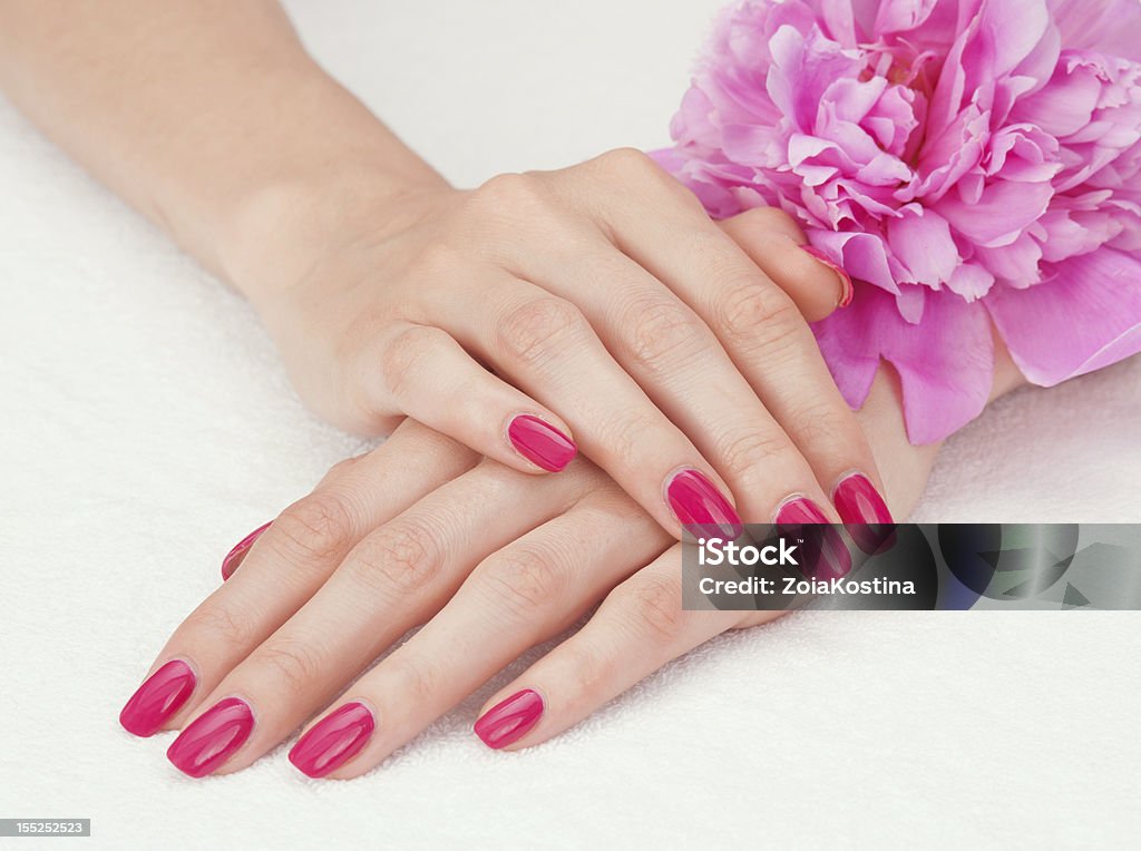 Pink manicure and a flower Beautiful woman hands with manicure lying down on white towel with a pink flower Fingernail Stock Photo