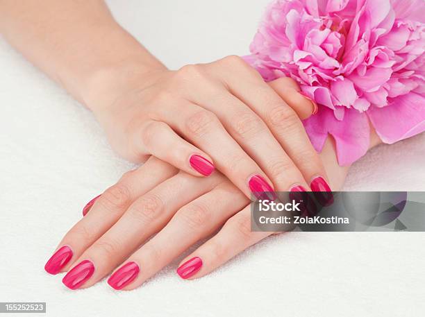 Pink Manicure And A Flower Stock Photo - Download Image Now - Fingernail, Manicure, Pink Color