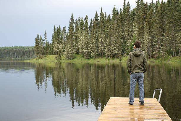 beobachtung - prince albert national park stock-fotos und bilder