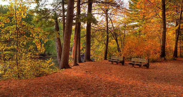 istock Colorful scenic Landscape in HDR 155255103