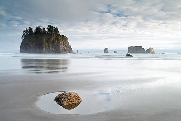 parc national olympique littoral, w.a, états-unis. - oregon beach photos et images de collection