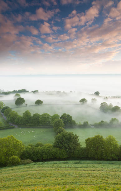 estate alba di glastonbury tor - somerset levels foto e immagini stock