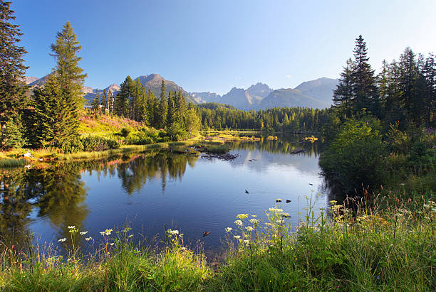 The lake Strbske pleso in Tatra mountain - Slovakia The lake Strbske pleso in Tatra mountain - Slovakia pleso stock pictures, royalty-free photos & images