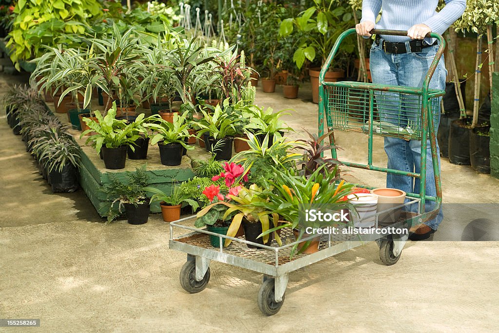 Nursery plantas para la venta - Foto de stock de Acero inoxidable libre de derechos