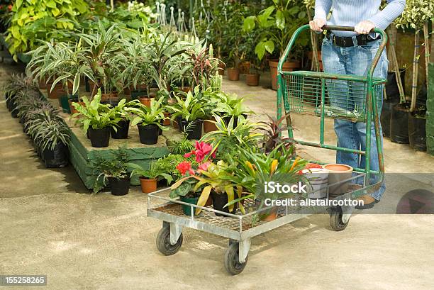 Nursery Plantas Para La Venta Foto de stock y más banco de imágenes de Acero inoxidable - Acero inoxidable, Aire libre, Colores