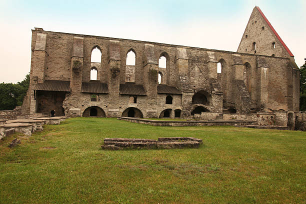 st.brigit rovine del convento - estonia tallinn old ruin ruined foto e immagini stock