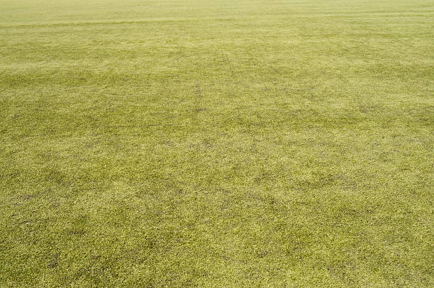 empty soccer field stock photo
