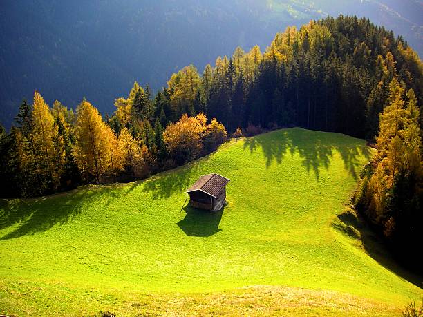 Hut on the autumn forest glade in Austria