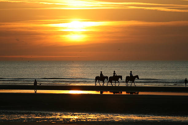 istock Horseriding in the sunset 155259575