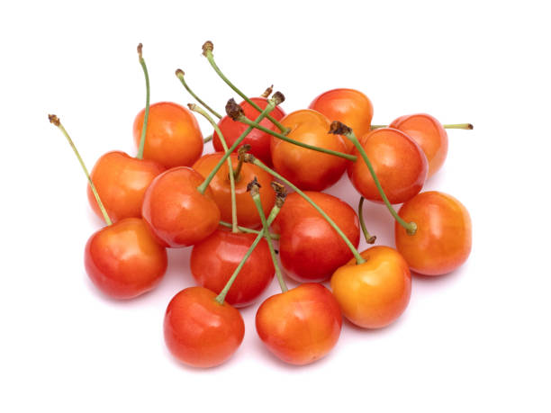 istock Japanese cherry named 