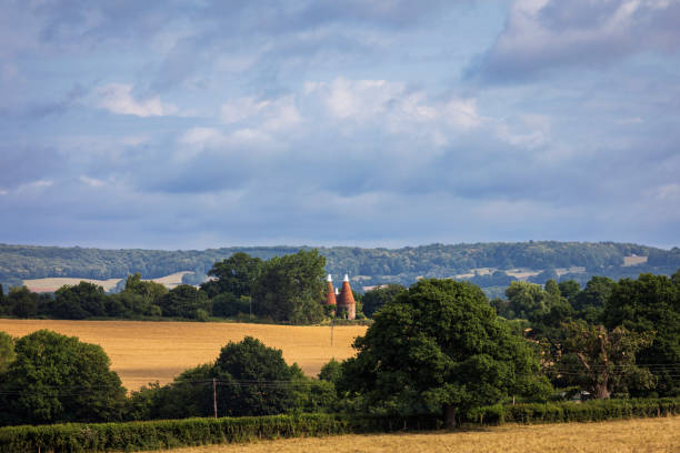 istock Oast houses Kent countryside 1552603072