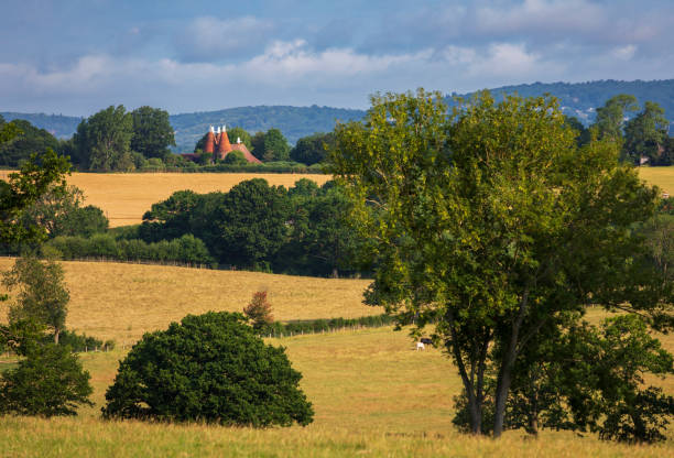 Oast houses Kent countryside
