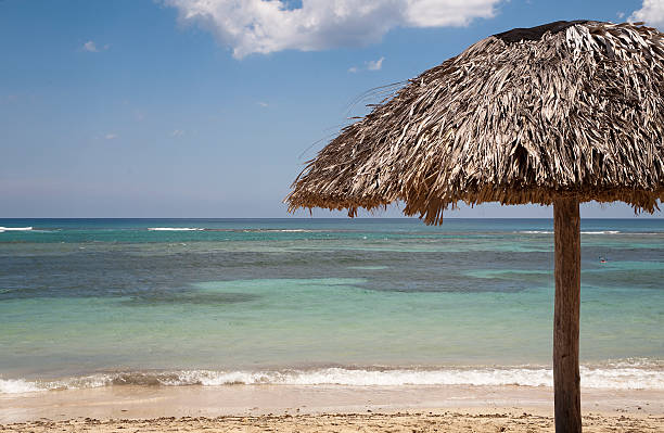 istock tropical beach with thatched roof hut 155260315