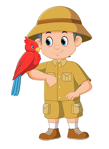 A zookeeper playing with bird isolated on white background of illustration