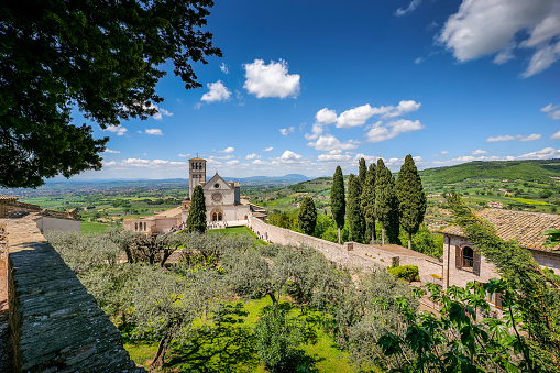A beautiful and peaceful landscape with the Basilica di San Francesco (Basilica of St Francis) in the medieval town of Assisi, in Umbria, surrounded by olive trees and Italian cypresses. Built in the Italian Gothic style starting from 1228 and completed in 1253, the Basilica, which preserves the mortal remains of the Saint of the Poor from 1230, is composed of the Basilica Inferiore (Lower Basilica) and the Basilica Superiore (Upper Basilica), perfectly integrated. Over the centuries Assisi and the spirituality of its sacred places have become a symbol of peace, a point of reference for tolerance and solidarity between peoples and between the different confessions of the world. The Umbria region, considered the green lung of Italy for its wooded mountains, is characterized by a perfect integration between nature and the presence of man, in a context of environmental sustainability and healthy life. In addition to its immense artistic and historical heritage, Umbria is famous for its food and wine production and for the high quality of the olive oil produced in these lands. Since 2000 the Basilica and other Franciscan sites of Assisi have been declared a World Heritage Site by UNESCO. Super wide angle image in high definition quality.